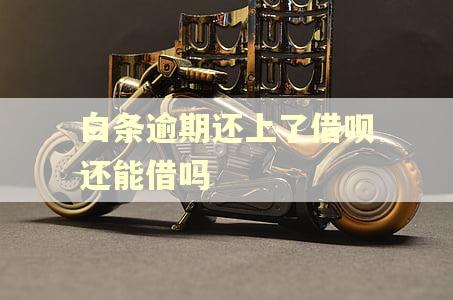白条逾期还上了借呗还能借吗