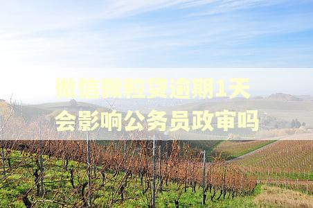 微信微粒贷逾期1天会影响公务员政审吗