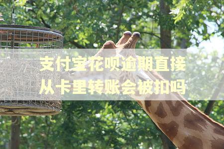 支付宝花呗逾期直接从卡里转账会被扣吗