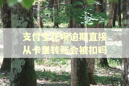 支付宝花呗逾期直接从卡里转账会被扣吗