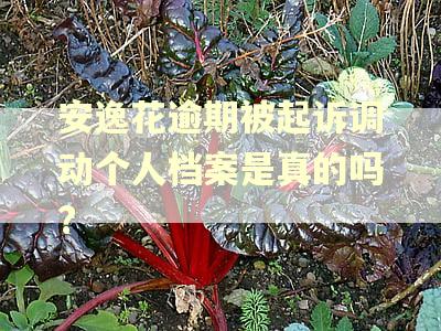 安逸花逾期被起诉调动个人档案是真的吗?