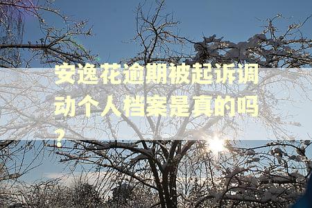 安逸花逾期被起诉调动个人档案是真的吗?