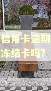 招商信用卡逾期一个月会冻结卡吗?