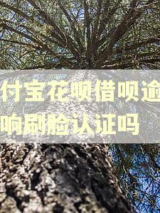 支付宝花呗借呗逾期影响刷脸认证吗