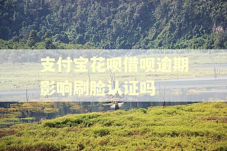 支付宝花呗借呗逾期影响刷脸认证吗