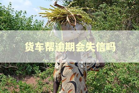 货车帮逾期会失信吗 货车帮逾期会失信吗