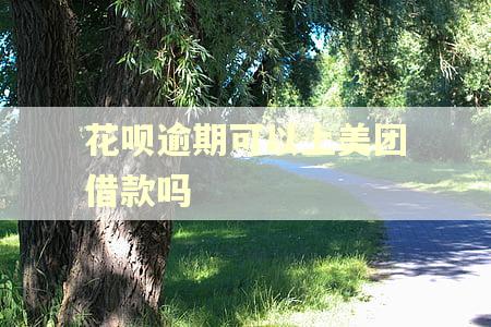 花呗逾期可以上美团借款吗 花呗逾期可以上美团借款吗