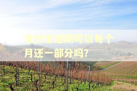 支付宝逾期可以每个月还一部分吗？