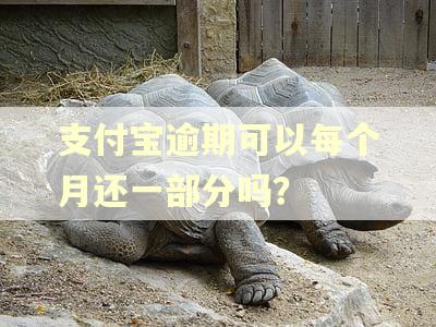 支付宝逾期可以每个月还一部分吗? 支付宝逾期可以每个月还一部分吗?
