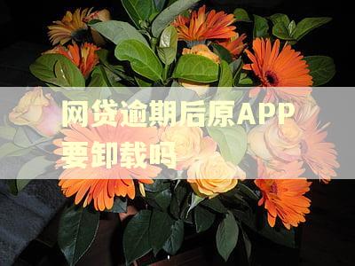 网贷逾期后原APP要卸载吗
