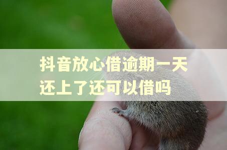 抖音放心借逾期一天还上了还可以借吗