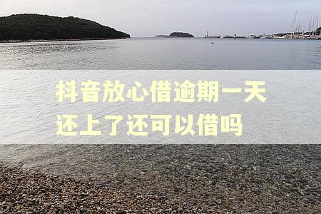 抖音放心借逾期一天还上了还可以借吗