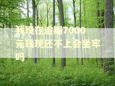 我现在逾期7000元钱现还不上会坐牢吗 我现在逾期7000元钱现还不上会坐牢吗