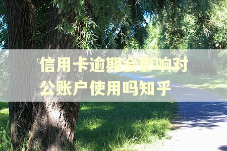 信用卡逾期会影响对公账户使用吗知乎