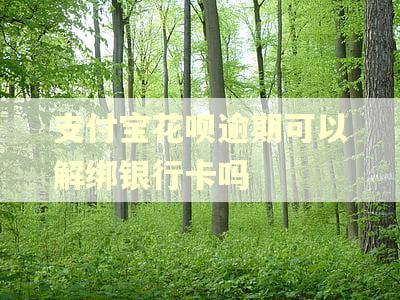 支付宝花呗逾期可以解绑银行卡吗