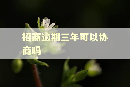 招商逾期三年可以协商吗