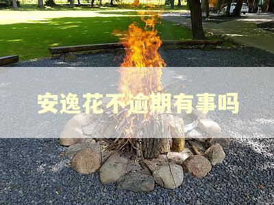 安逸花不逾期有事吗