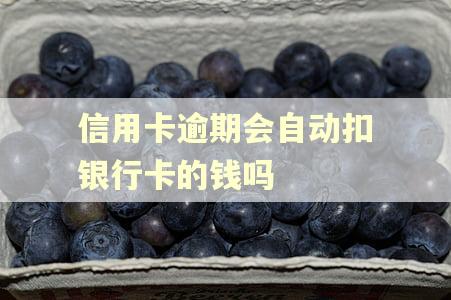 信用卡逾期会自动扣银行卡的钱吗 信用卡逾期会自动扣银行卡的钱吗