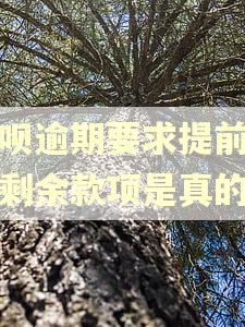 花呗逾期要求提前结清剩余款项是真的吗