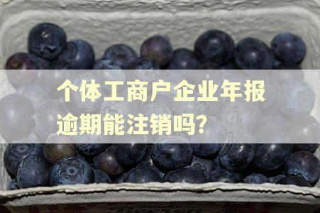 个体工商户企业年报逾期能注销吗？