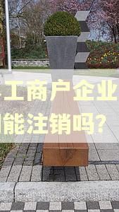 个体工商户企业年报逾期能注销吗? 个体工商户企业年报逾期能注销吗?