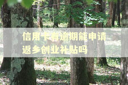 信用卡有逾期能申请返乡创业补贴吗