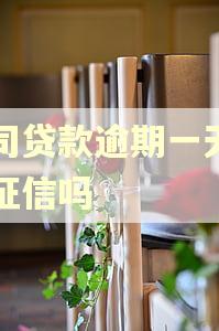 公司贷款逾期一天会上征信吗