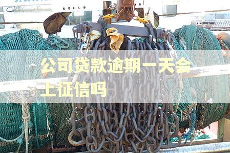 公司贷款逾期一天会上征信吗