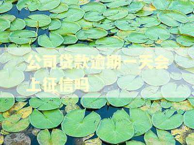公司贷款逾期一天会上征信吗