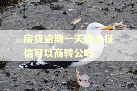 房贷逾期一天没上征信可以商转公吗