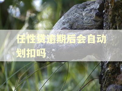 任性贷逾期后会自动划扣吗 任性贷逾期后会自动划扣吗