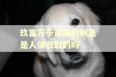 玖富万卡逾期的利息是人保收取的吗