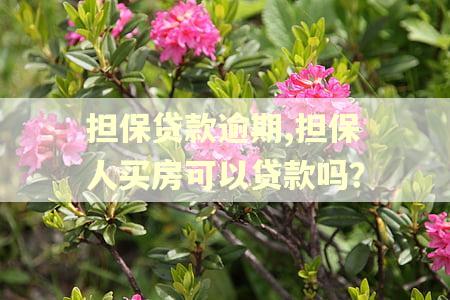 担保贷款逾期,担保人买房可以贷款吗？
