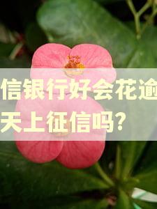 百信银行好会花逾期一天上征信吗?