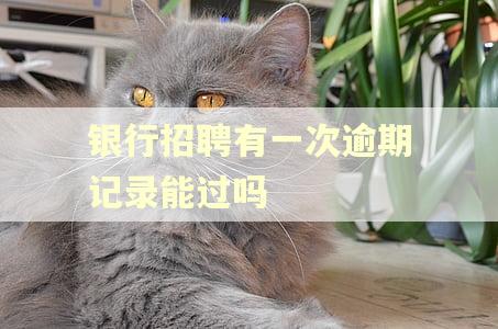 银行招聘有一次逾期记录能过吗