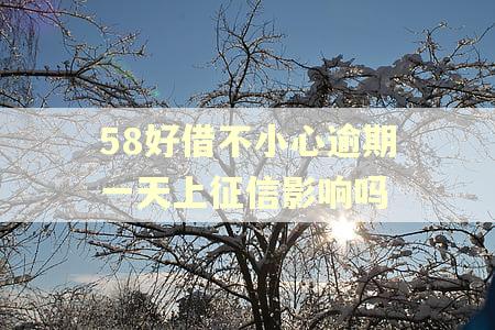 58好借不小心逾期一天上征信影响吗
