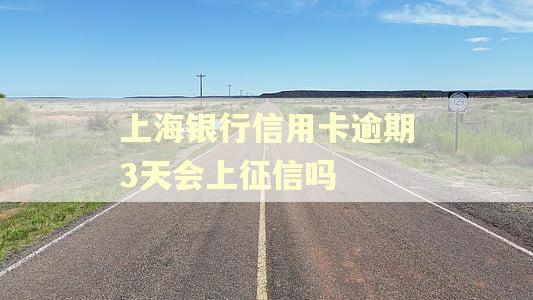 上海银行信用卡逾期3天会上征信吗