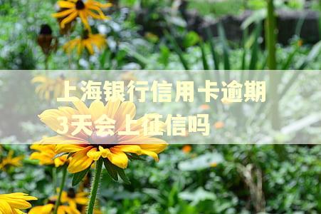上海银行信用卡逾期3天会上征信吗 上海银行信用卡逾期3天会上征信吗