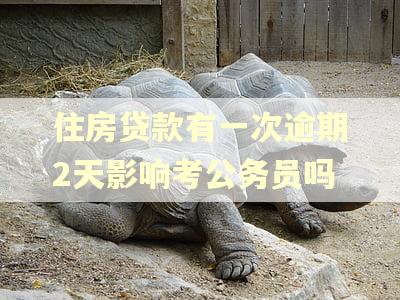 住房贷款有一次逾期2天影响考公务员吗