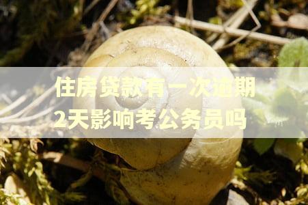 住房贷款有一次逾期2天影响考公务员吗