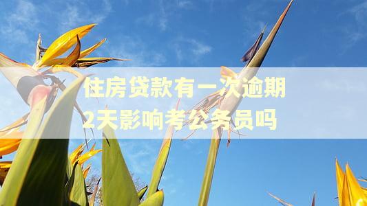 住房贷款有一次逾期2天影响考公务员吗 住房贷款有一次逾期2天影响考公务员吗