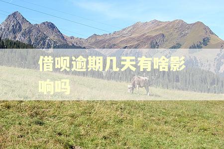 借呗逾期几天有啥影响吗