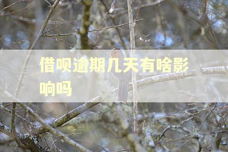 借呗逾期几天有啥影响吗