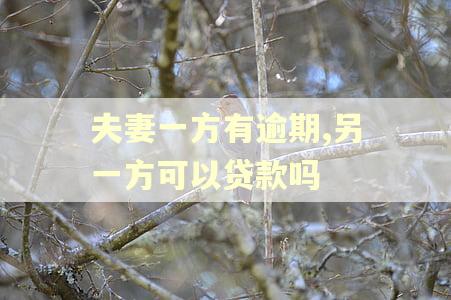 夫妻一方有逾期,另一方可以贷款吗 夫妻一方有逾期,另一方可以贷款吗