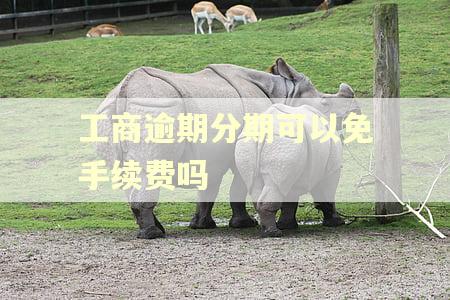 工商逾期分期可以免手续费吗