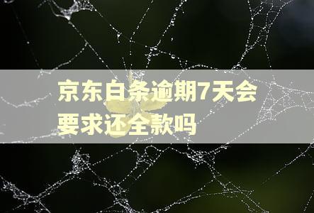京东白条逾期7天会要求还全款吗