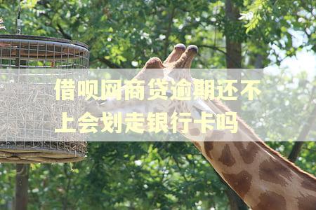 借呗网商贷逾期还不上会划走银行卡吗