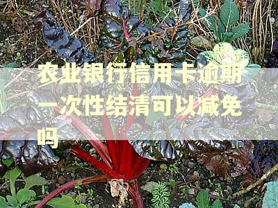 农业银行信用卡逾期一次性结清可以减免吗