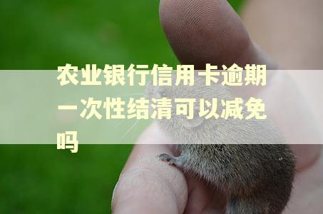 农业银行信用卡逾期一次性结清可以减免吗