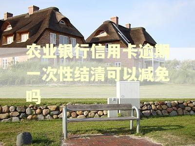 农业银行信用卡逾期一次性结清可以减免吗